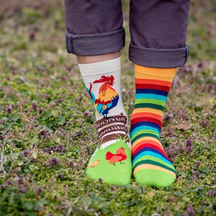 arty_rooster_ph14-051_img_1851_1200