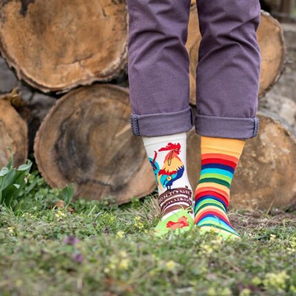 arty_rooster_ph14-051_img_1853_1200