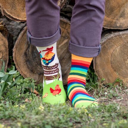 arty_rooster_ph14-051_img_1859-2_1200