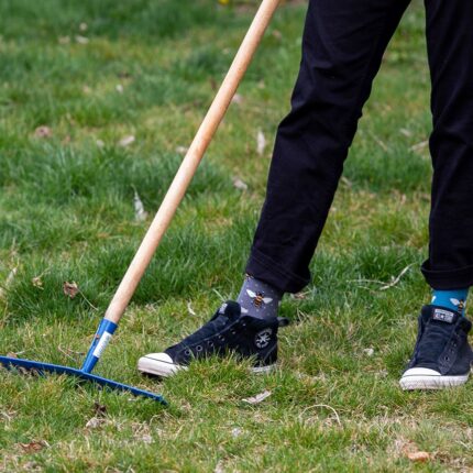 fb_bees_ph16-010-014_s89a1598_1200