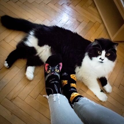 product_6859_yo5q1syypb0ahwlu