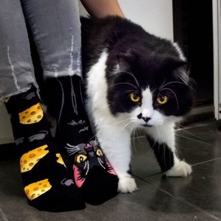 product_6873_hg40rng7gcvxhgsl