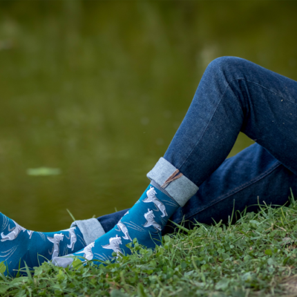 product_6928_9qarzbch2ergv43s